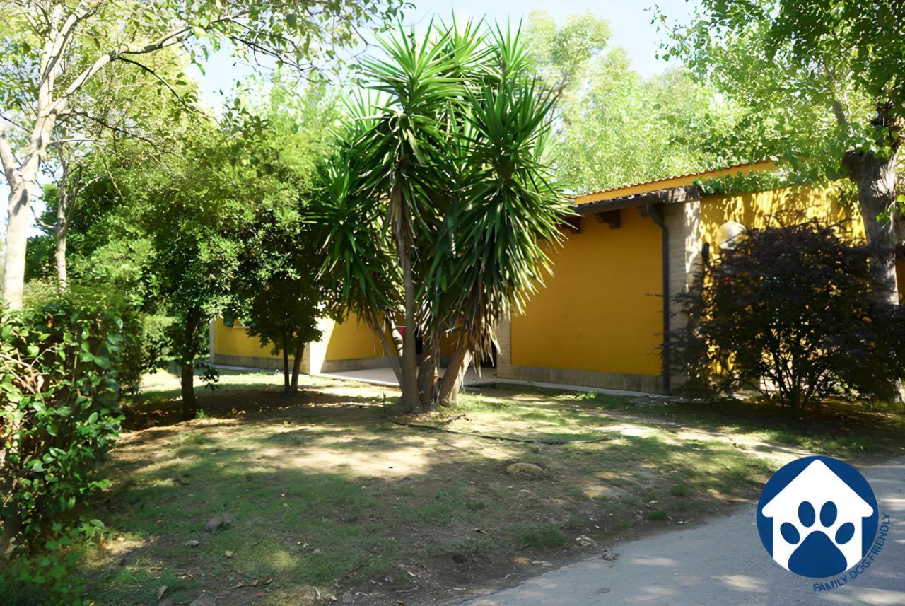 Отель Club Del Sole La Risacca Family Collection Порто-Сант'Эльпидио Экстерьер фото